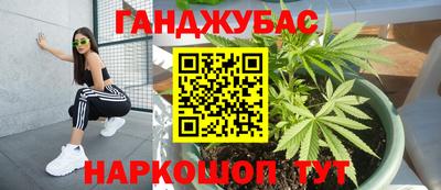 ГАЛЛЮЦИНОГЕННЫЕ ГРИБЫ Нальчик