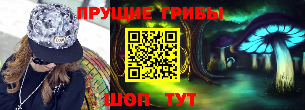наркотики  Вход с VPN  Мценск  Псилоцибиновые грибы GOLDEN TEACHER  Псилоцибиновые грибы MAGIC MUSHROOMS 